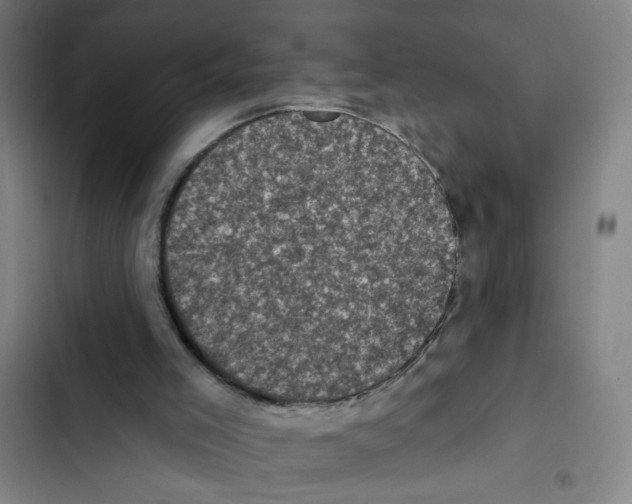 X0000102350005200808291212