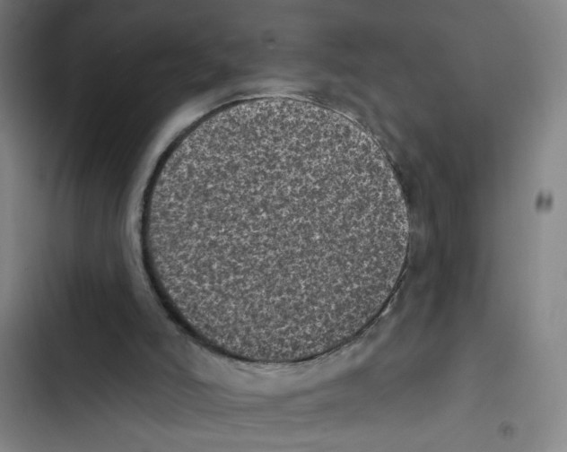 X0000102350006200808291212