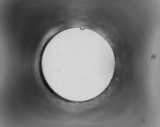 X0000102350007200808291212
