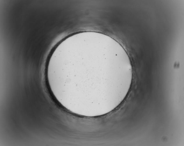 X0000102350008200808291212