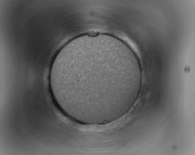 X0000102350009200808291212