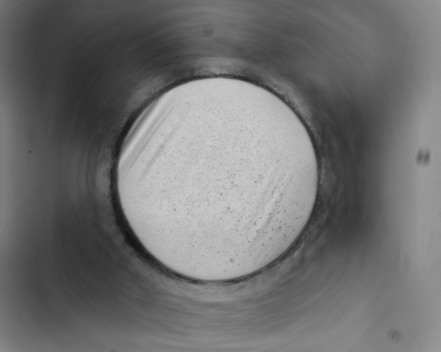 X0000102350010200808291212