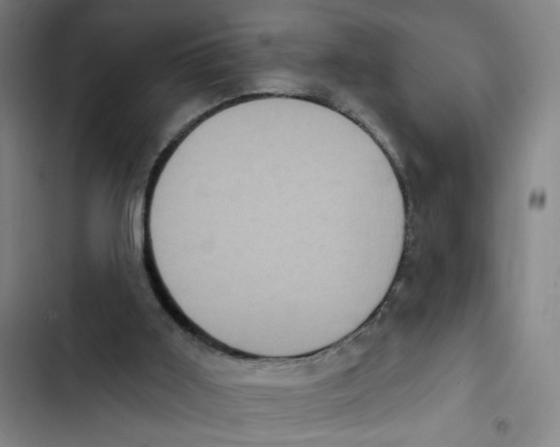 X0000102350011200808291212