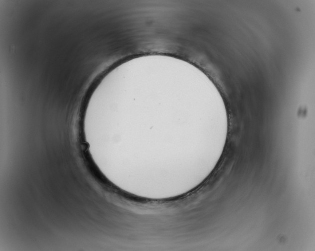 X0000102350012200808291212