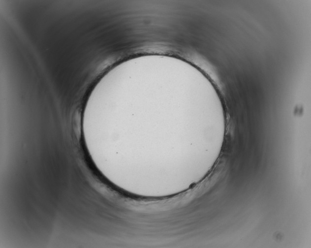 X0000102350013200808291212