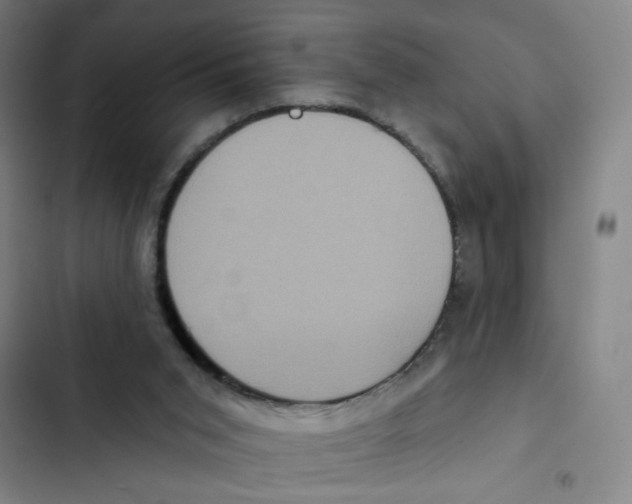 X0000102350015200808291212