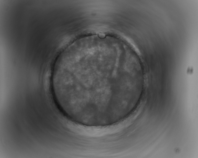 X0000102350018200808291212