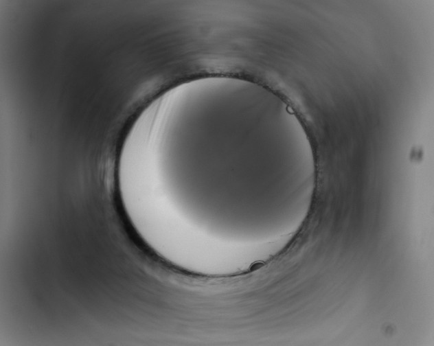 X0000102350019200808291212