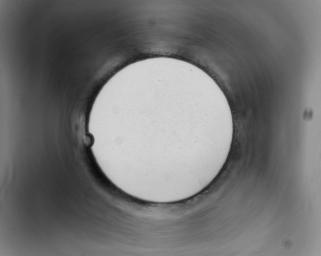 X0000102350020200808291212