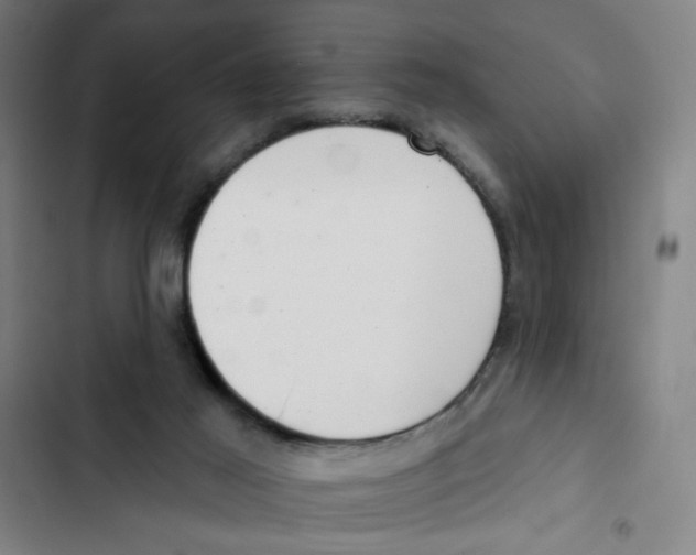 X0000102350021200808291212