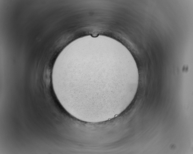 X0000102350022200808291212