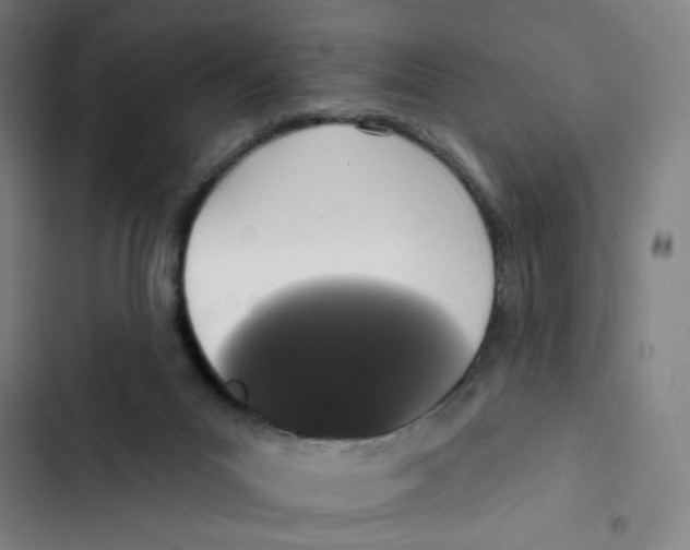 X0000102350023200808291212