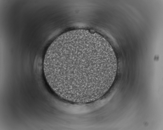 X0000102350024200808291212