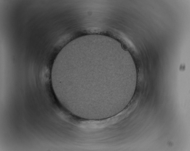 X0000102350025200808291212