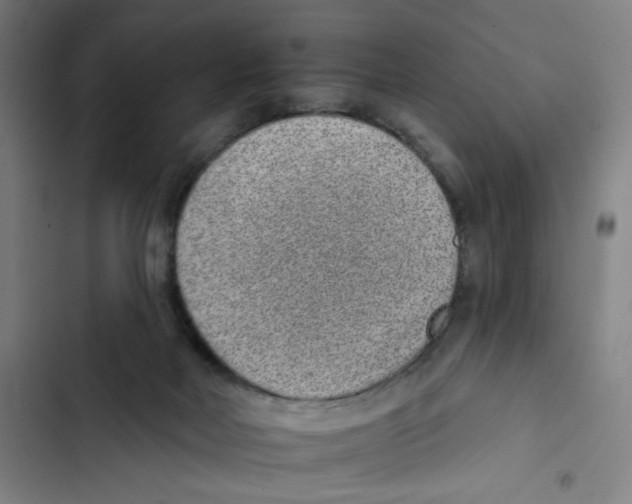 X0000102350026200808291212