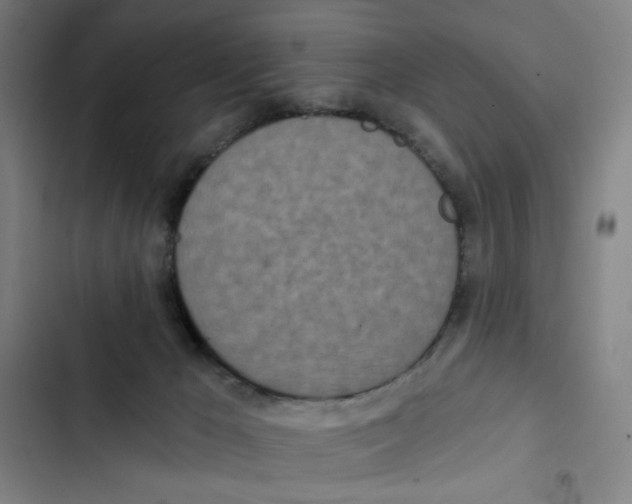 X0000102350029200808291212