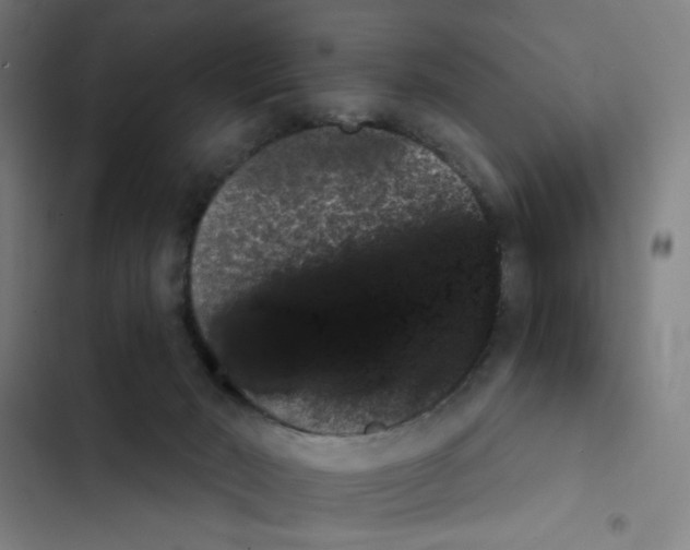 X0000102350030200808291212