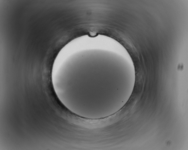 X0000102350031200808291212
