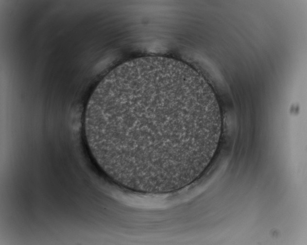 X0000102350032200808291212