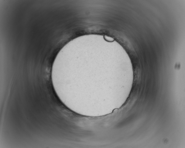 X0000102350033200808291212