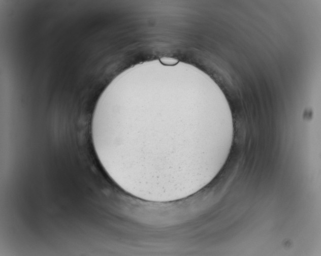 X0000102350034200808291212