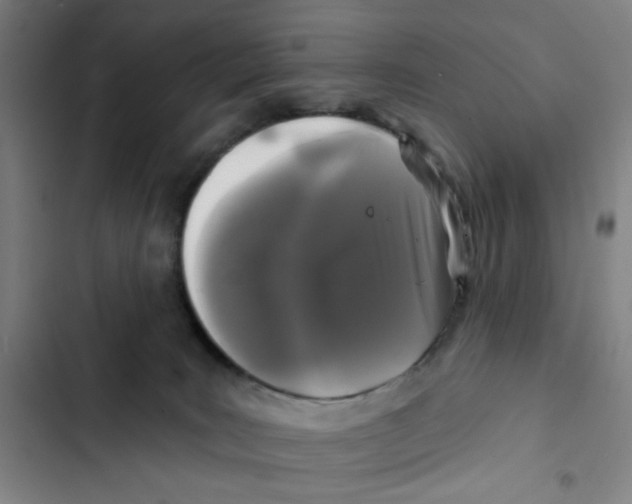 X0000102350035200808291211