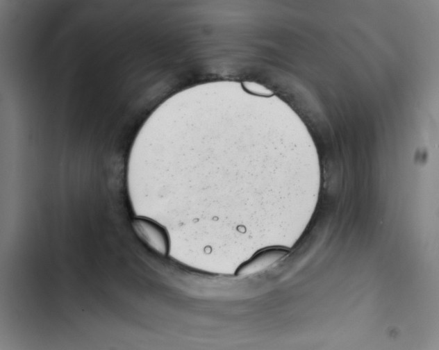 X0000102350036200808291211