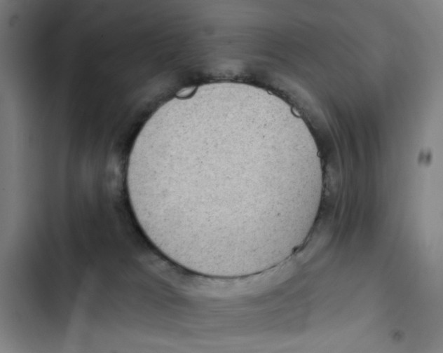 X0000102350037200808291211