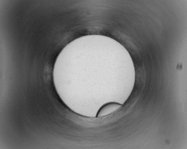 X0000102350038200808291211