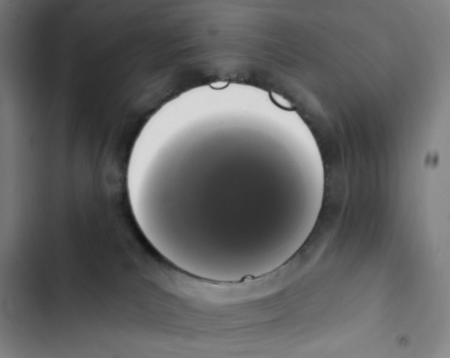 X0000102350039200808291211
