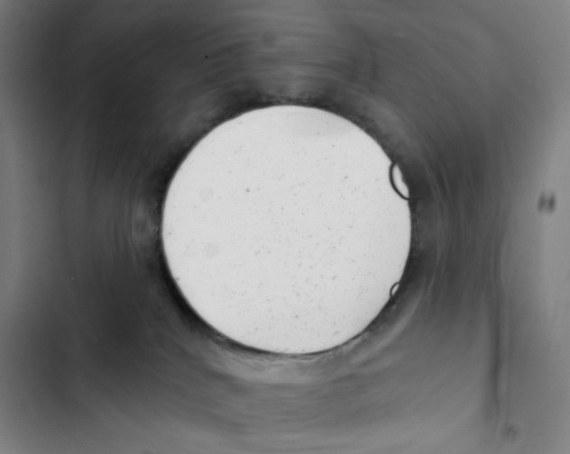 X0000102350040200808291211
