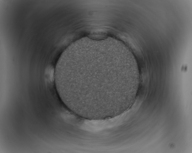 X0000102350041200808291211