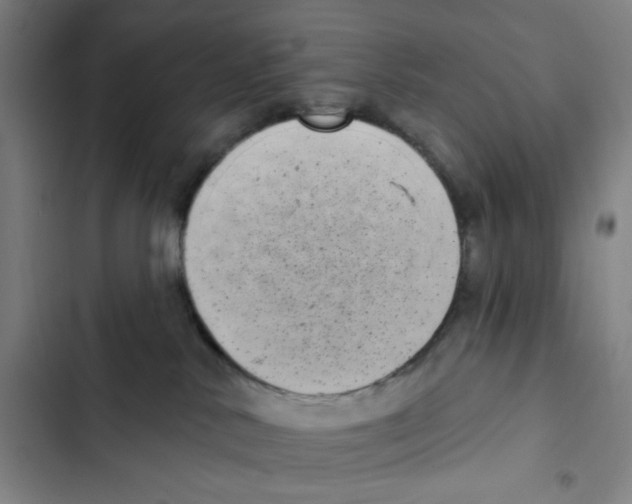 X0000102350042200808291211