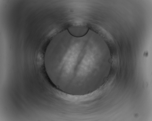 X0000102350043200808291211