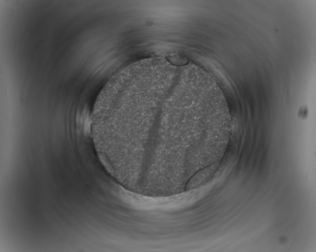 X0000102350046200808291211