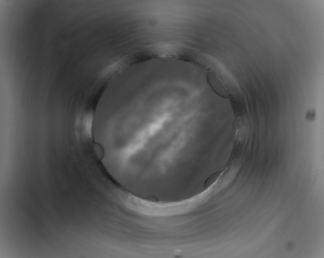X0000102350047200808291211
