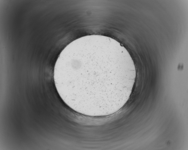 X0000102350048200808291211