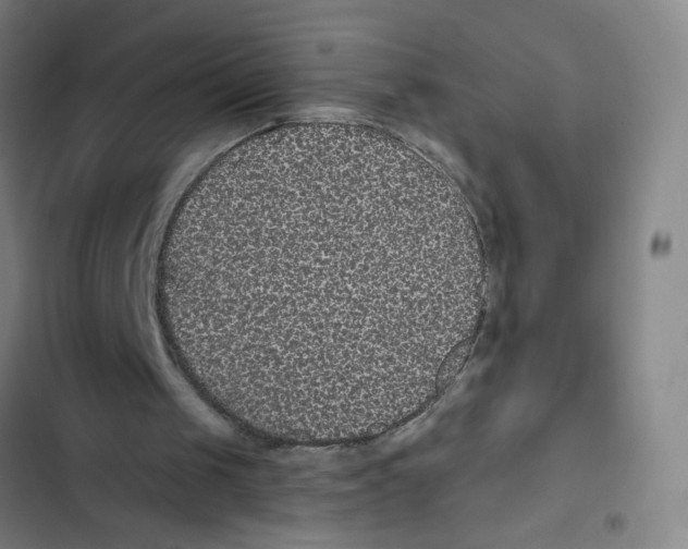 X0000102350049200808291211