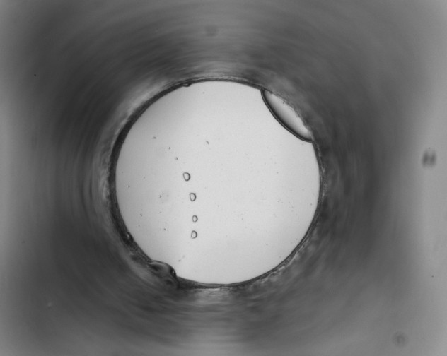 X0000102350050200808291211