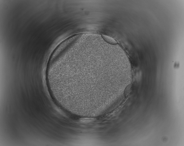 X0000102350051200808291211