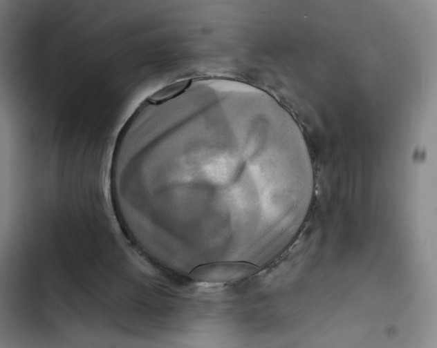 X0000102350052200808291211