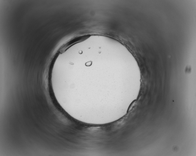 X0000102350054200808291211