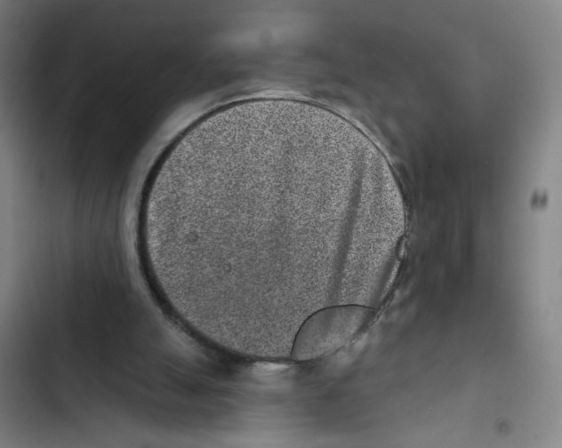 X0000102350055200808291211