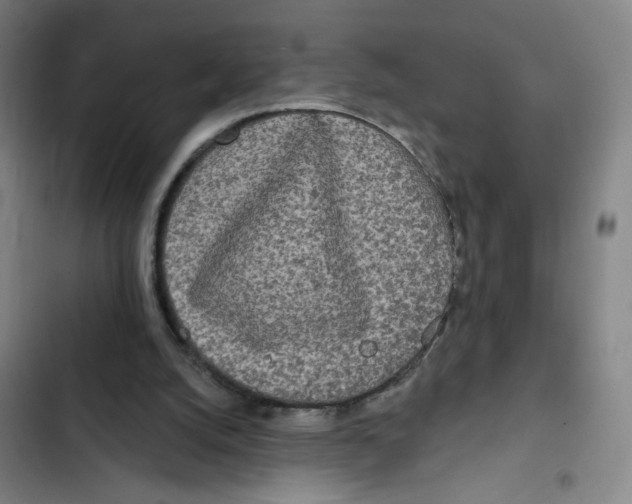 X0000102350056200808291211