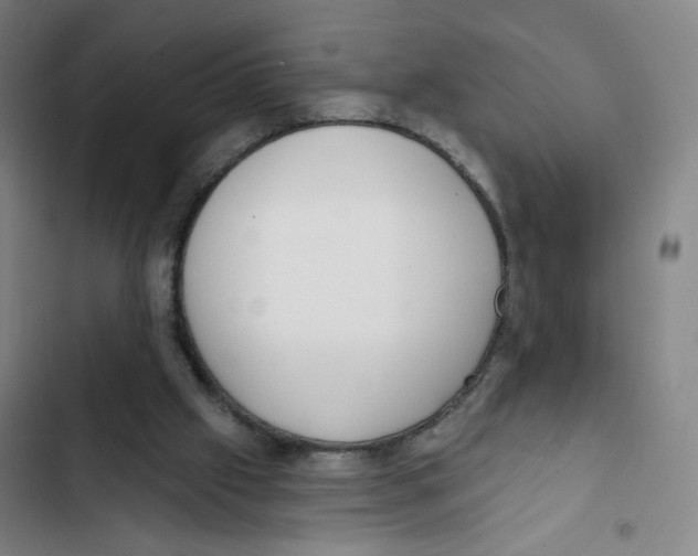 X0000102350057200808291211