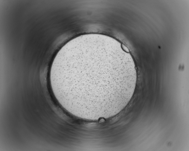 X0000102350058200808291211