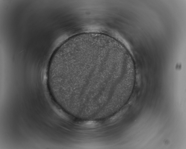 X0000102350059200808291211