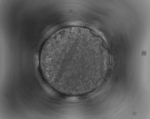 X0000102350061200808291211