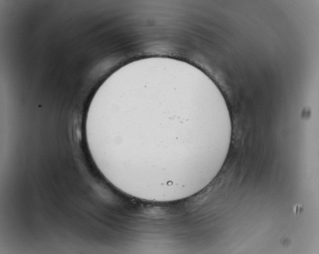 X0000102350062200808291211
