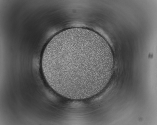 X0000102350063200808291211